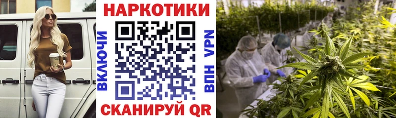 Магазины продажи наркотиков Нововоронеж Кетамин ГАШ Канабис Cocaine Метамфетамин СК АМФ