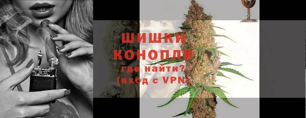 PSILOCYBIN Елабуга