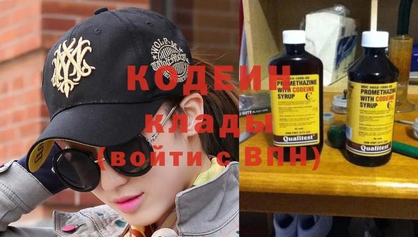 индика Ельня