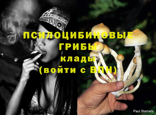 винт Армянск