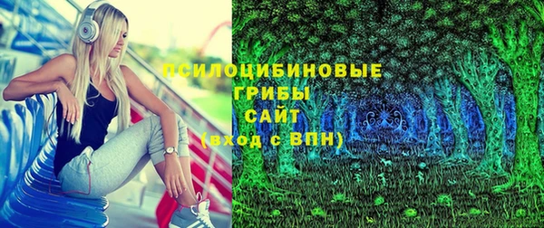 эйфоретик Аркадак